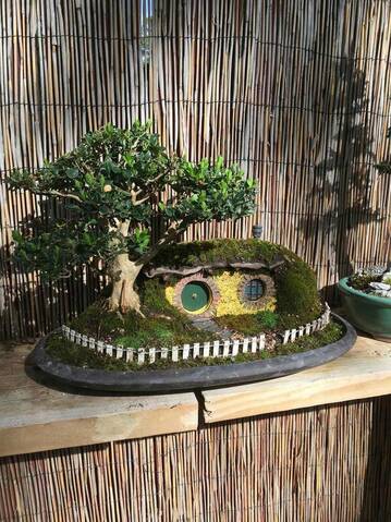 My Take On The Famous Hobbit House Bonsai