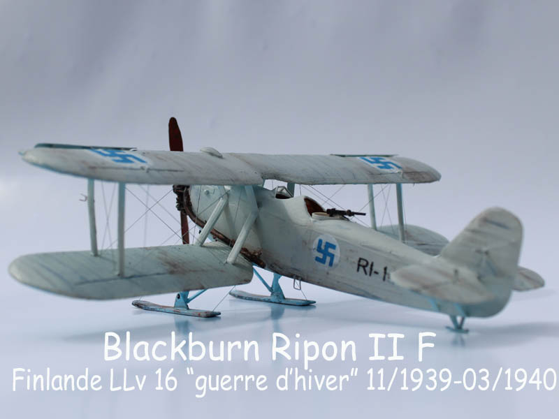 Blackburn Ripon Br-02810