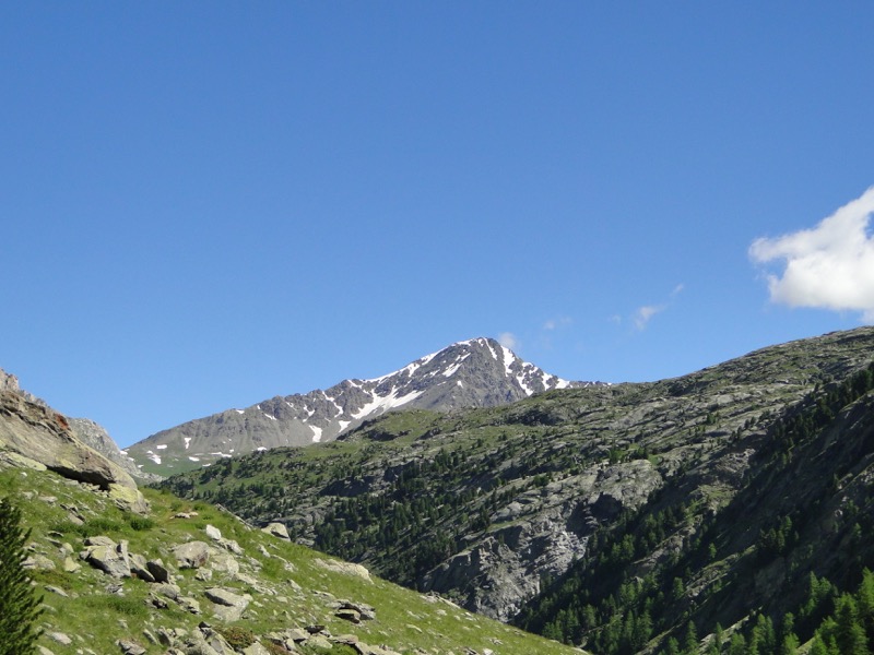 Le vallon d'Ambin Dsc04412