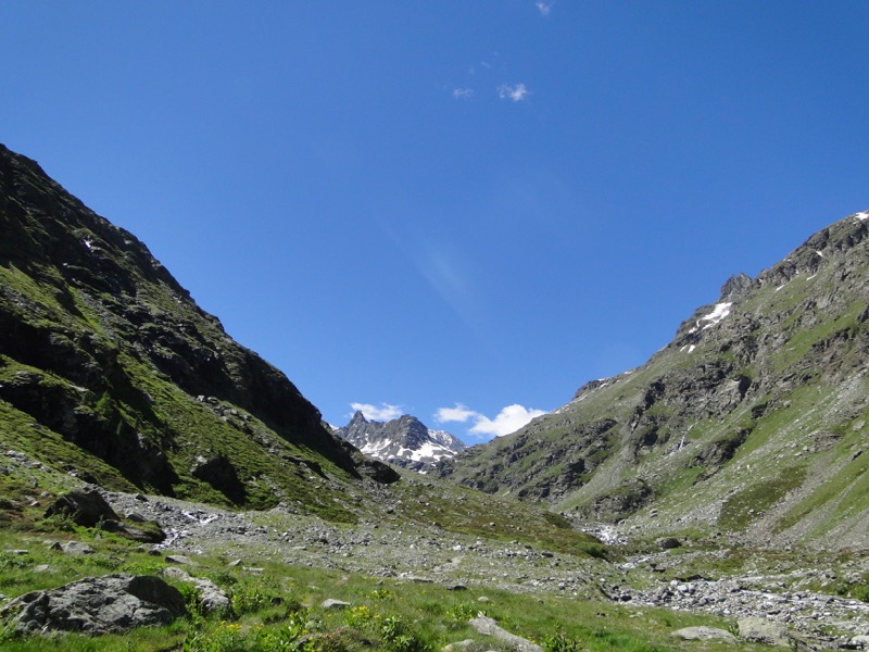 Le vallon d'Ambin Dsc04415