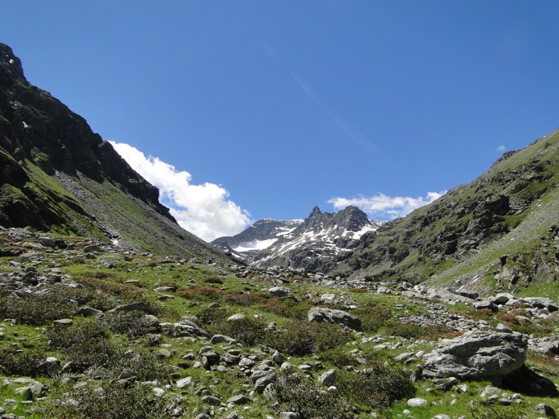 Le vallon d'Ambin Dsc04510