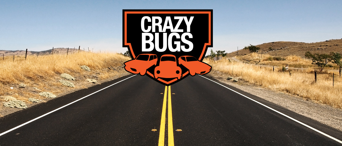 :. Crazy Bugs .: