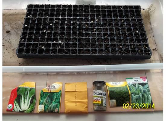 What to use: Seed Starting Photo127