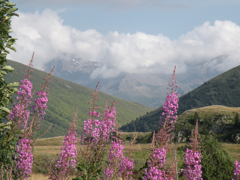 Sites et Paysages A la rencontre du Soleil (Rhône Alpes) 20210