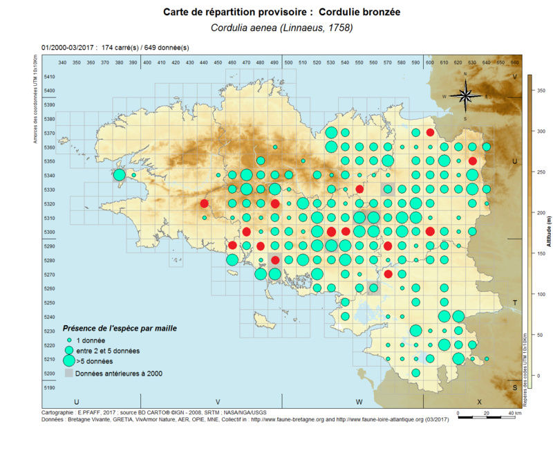 progrès cartographie de la Cordulie bronzée (C. aenea) Cordul16