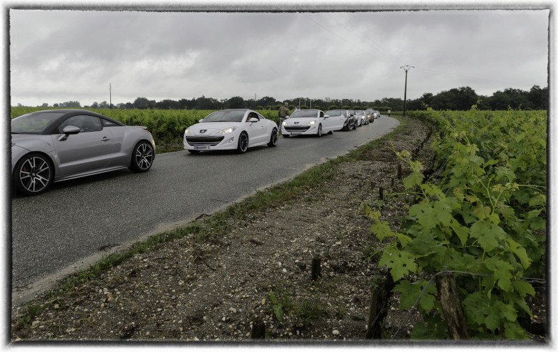 photos rasso rcz 2017,en Gironde , à la découverte de la route des vins,3,4,5 juin - Page 2 Vigne-10