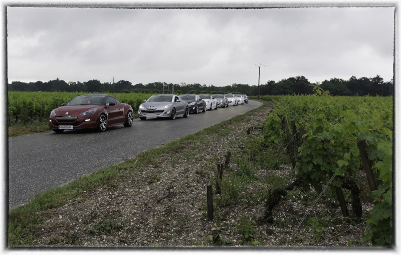 photos rasso rcz 2017,en Gironde , à la découverte de la route des vins,3,4,5 juin - Page 2 Vigne-11