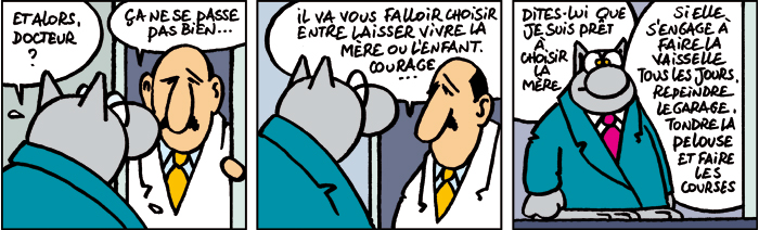 Le Chat de Geluck !!! 17021510