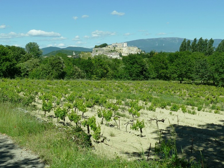 Balade en drome et bouche du rhone P1110510