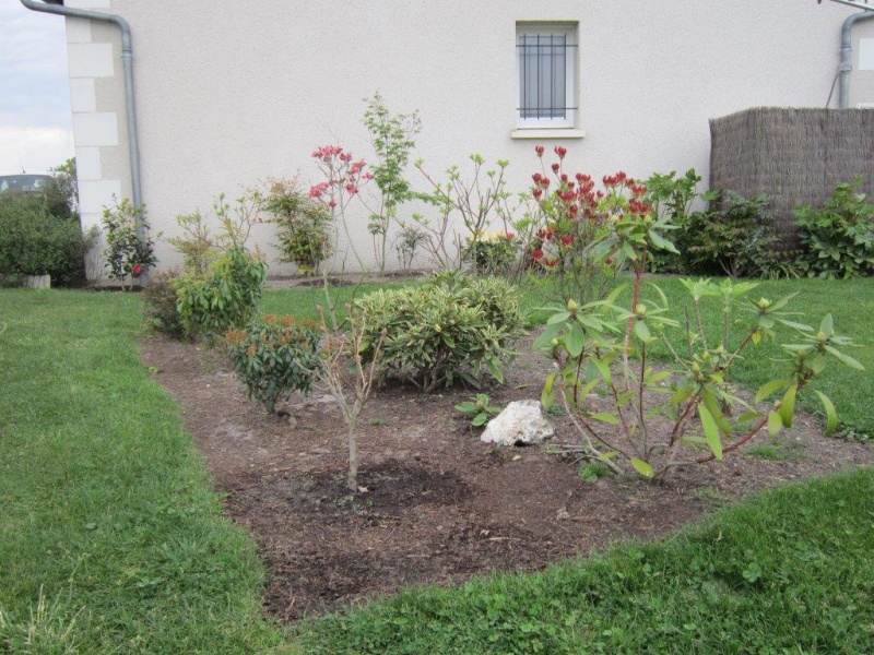 mon jeune jardin de touraine - Page 11 Img_3325