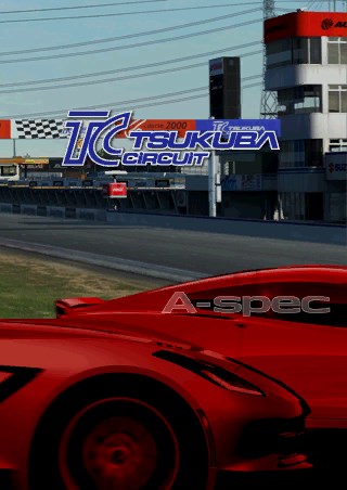 Tsukuba Circuit TERMINE Defi_d11