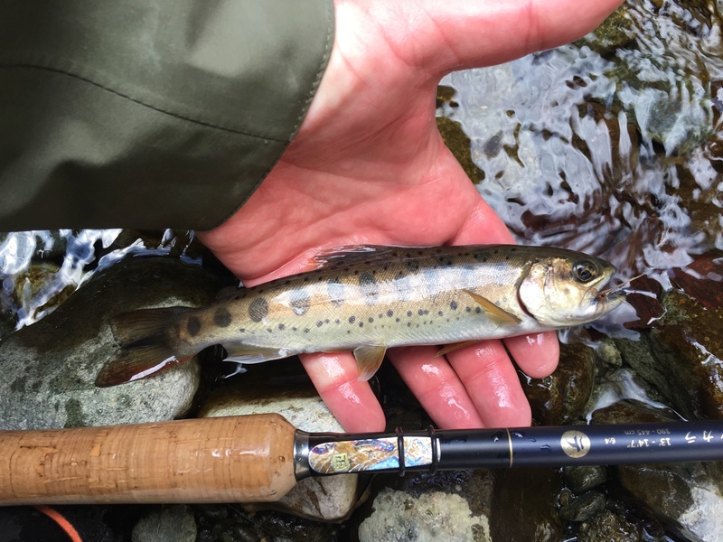 tenkara-fisher blog Itw_210