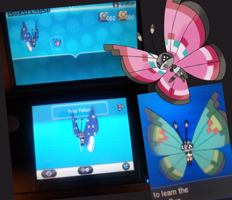 Pokemon X/Y - Page 3 13812510