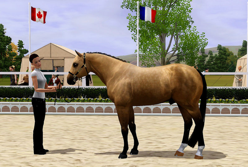 TS3 Horse Breed I / Etalons || Rendu Photos. Gotta13