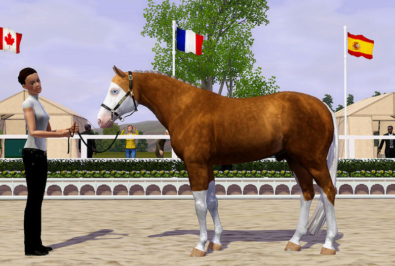 TS3 Horse Breed I / Etalons || Rendu Photos. Sans_t16