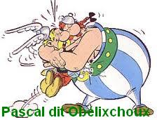 Couettes, coussins Asterix  Signat10