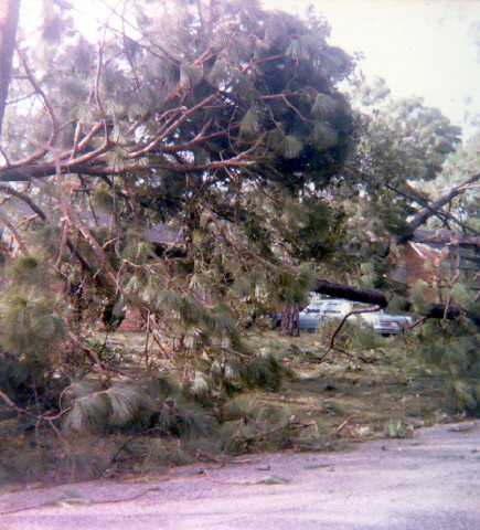 What Do Major hurricanes do? Lwf00111