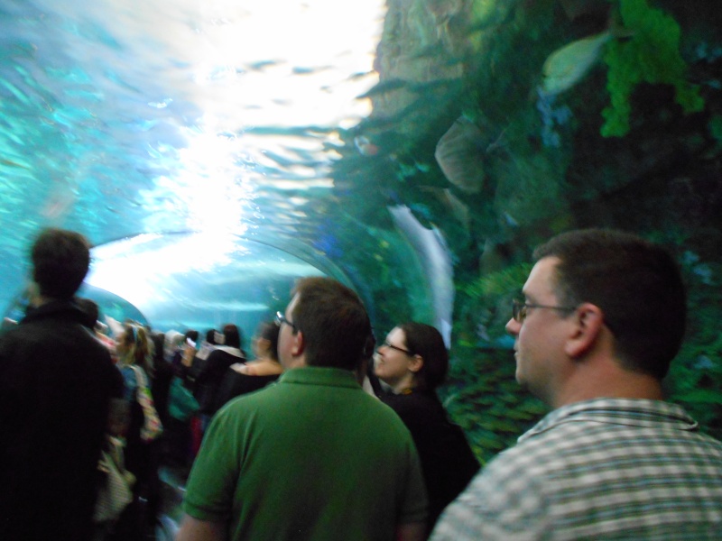 Toronto Aquarium 07710