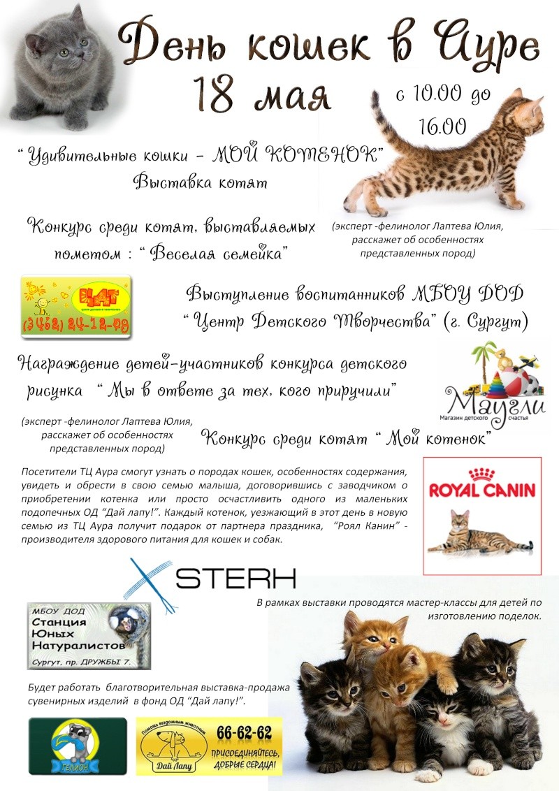 Рекламная выставка кошек AFC "Мой котенок" 18 мая 2014 - Страница 3 Dddddn10