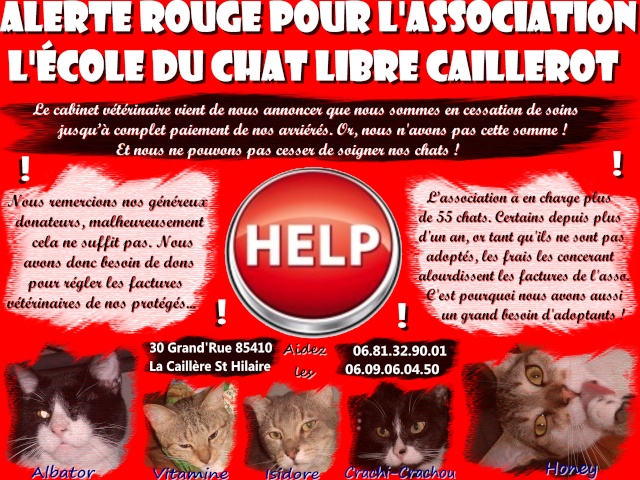 SOS pour Ecole du Chat Libre de CAILLEROT (85) Help1110