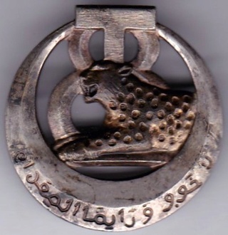 Les insignes d'Infanterie d'Afrique 1939-1940 Img_2118