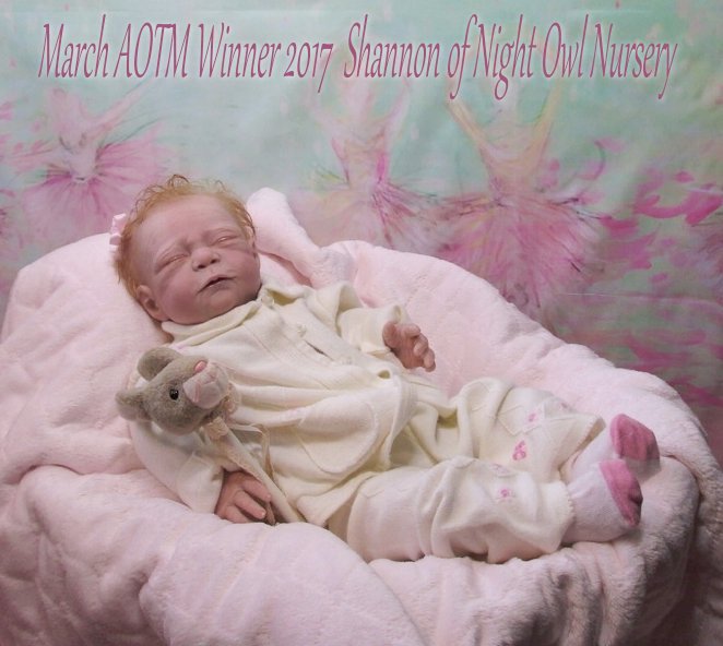 WINNER OF THE MARCH AOTM CONTEST - Shannon of NightOwlNursery Winner11