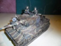 vente de ma collection Tiger_15