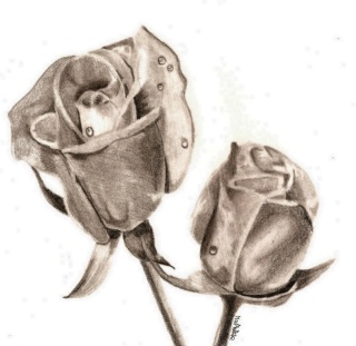 Carnet de bord de Mathilde Roses10