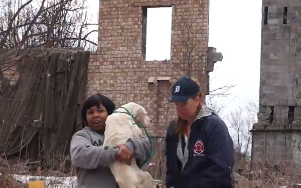 Le dégel de printemps à Detroit révèle les corps de 28 chien Ob_0a610