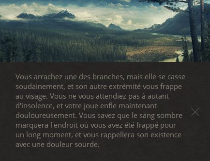 Life Is Feudal... Vielle10