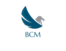 BCM (Banque de Crédit Mézène) Create10