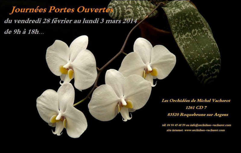 portes ouvertes  orchidées Michel vacherot  Apo_va10