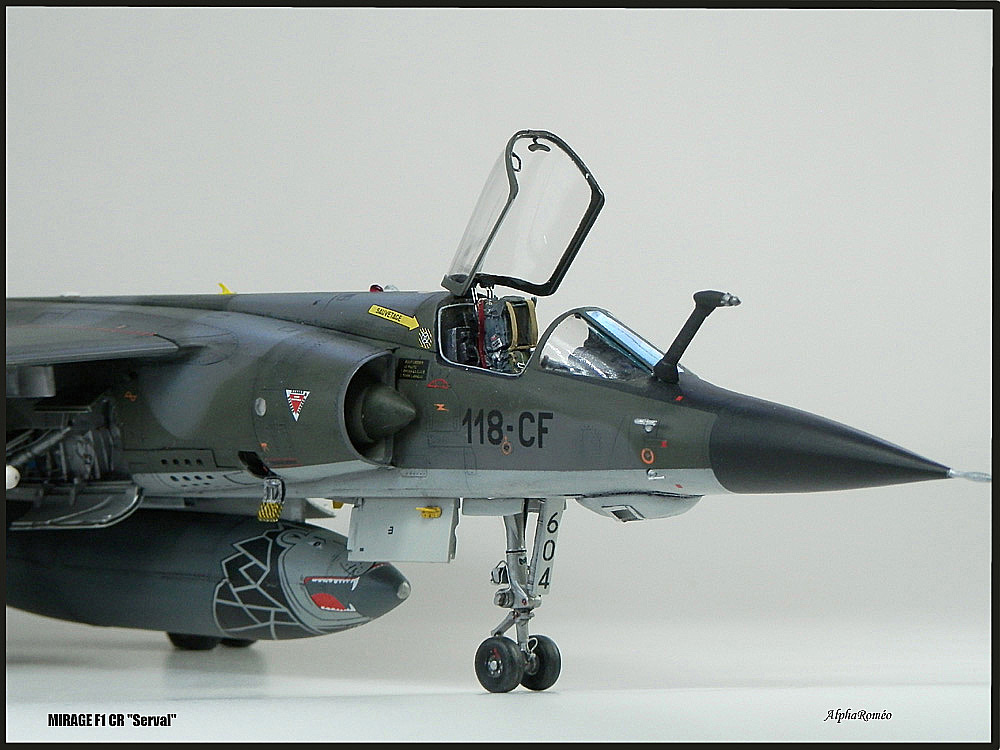 Mirage F1 CR Opex "SERVAL" - Page 9 P5121620