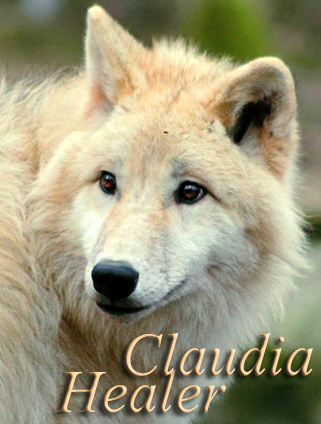 Claudia the circus wolf Avie10