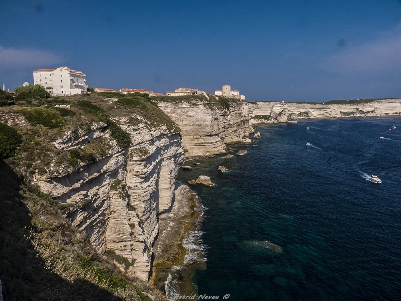 Sud-Est Corse (23 Août : Bonifacio) P1100719