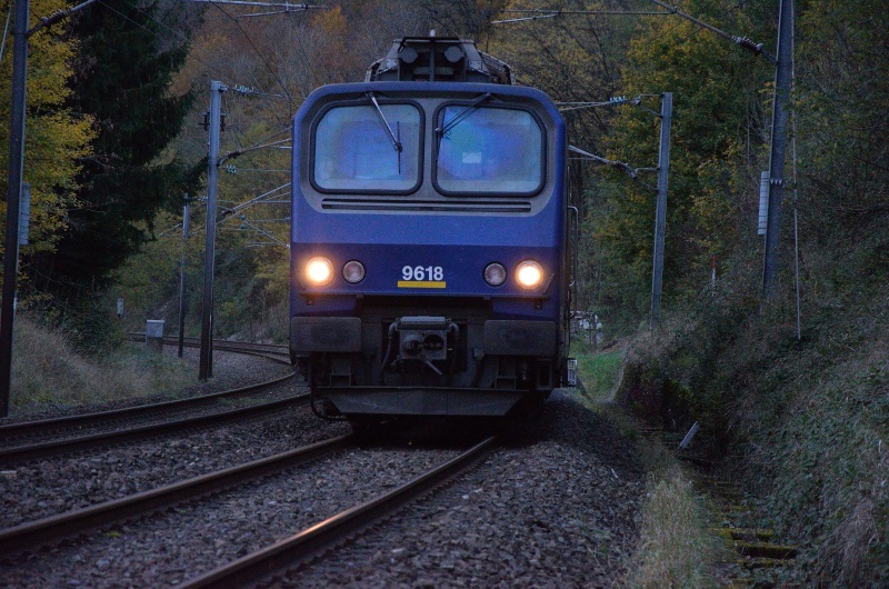 Trains d'automne Dsc_3914