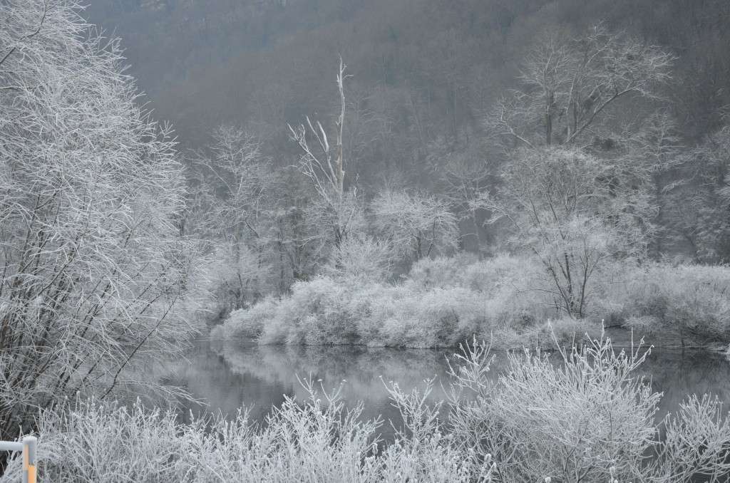 Decembre Vallée du Doubs Dsc_4318