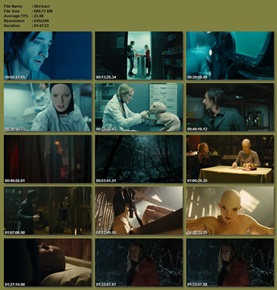 Hibrid 2009 DVDRip HUNDub Hibrid11