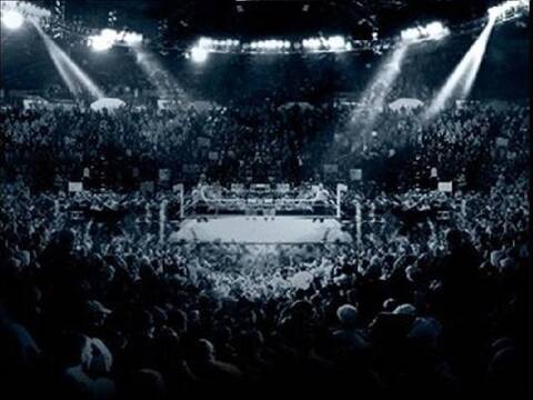 أسرار بناء حلبة المصارعة الحرة WWE