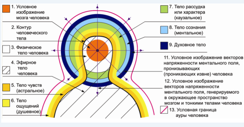 Особенности биополя человека  8888810