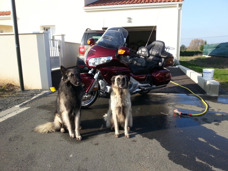 Attention au lavage 2013-160