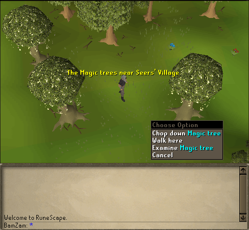 BamZam's 1-99 Woodcutting Guide Magic_10