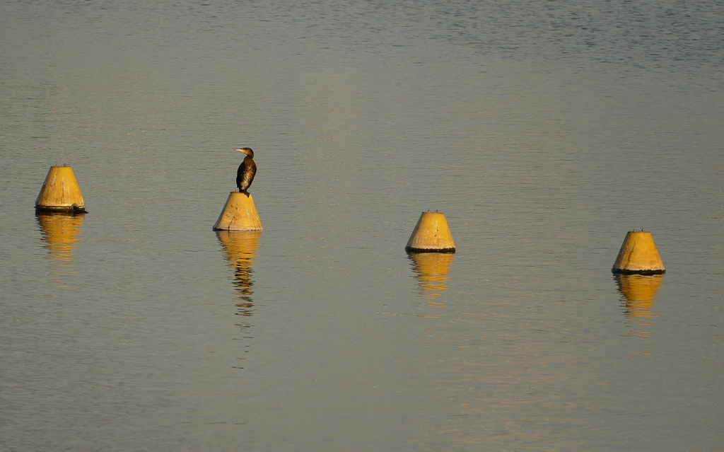 Entre mer et fleuve 16022019