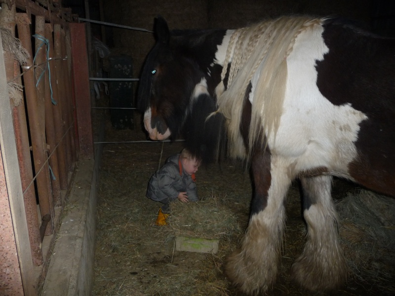 Tristan est parmis nous P1200113
