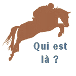 Qui est en ligne ?