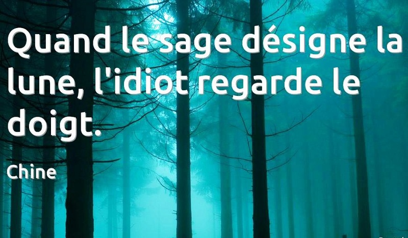 Citation du jour: idiot 1057010