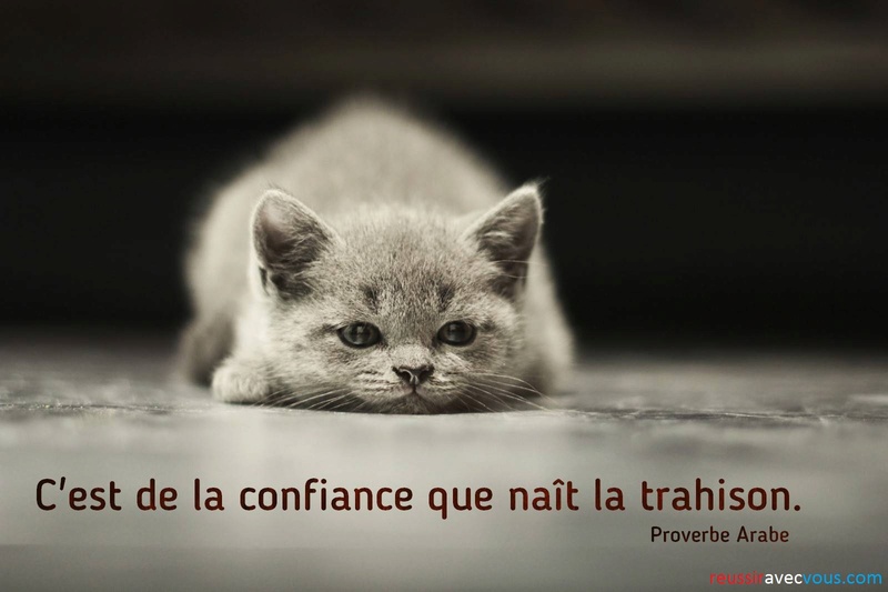 Citation du jour : confiance Prover10