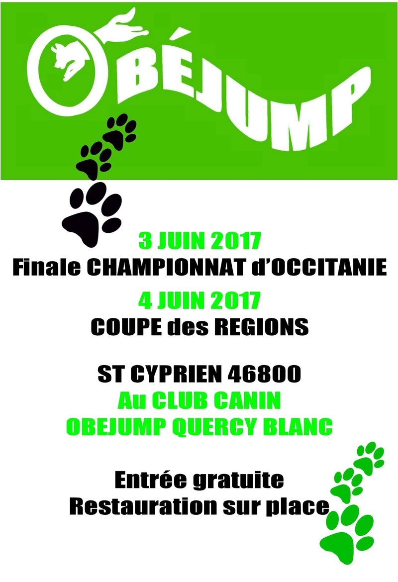 Concours d'Obéjump Palett10