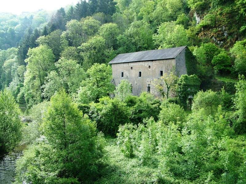 UNE SEMAINE EN AVEYRON, ENFIN Dscf9415