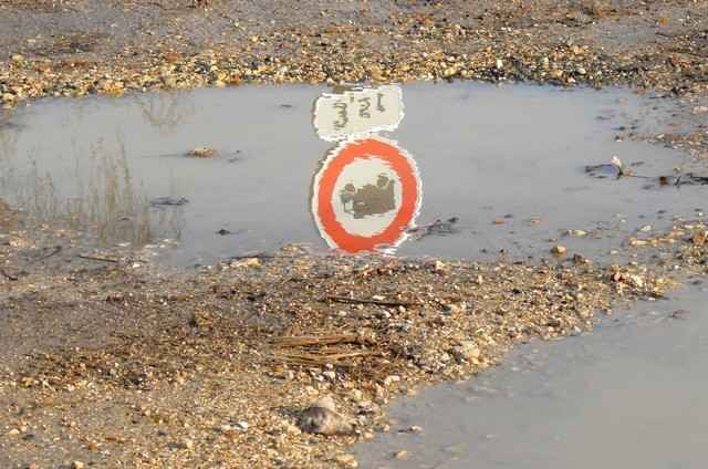 36 - Les reflets dans les flaques d'eau !!! P1300010